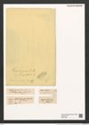 Grammonema striatulum Ag. (de-Toni-Nr.: Genus 74, Species 2799) Zeichnungen Sammlung Grunow (NHMW-BOT-W0374132)